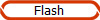 Flash
